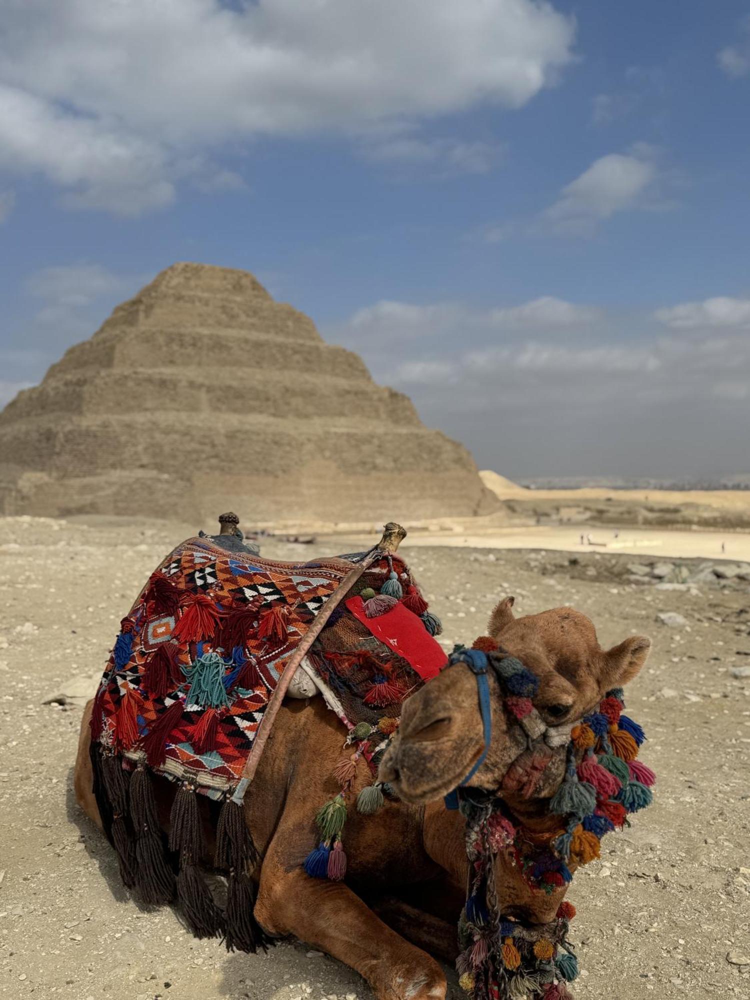 K Boutique Hotel Medspa-Pyramids & Grand Egyptian Museum Ghatati Екстериор снимка